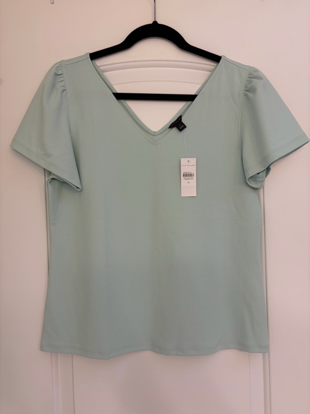 Ann Taylor Soft Mint V-Neck Short Sleeve Blouse